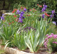 Karoola Cottage Self Contained - Accommodation in Bendigo