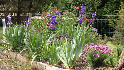 Karoola Cottage Self Contained - Accommodation in Bendigo 0