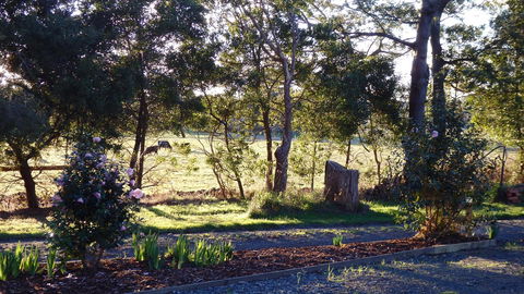 Karoola Cottage Self Contained - Accommodation in Bendigo 25