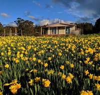 Mountain Blue Guest House - Accommodation in Bendigo