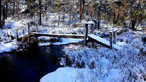 Cradle Mountain Love Shack - Accommodation in Bendigo 10