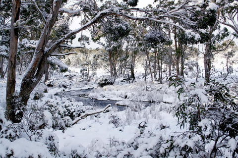 Cradle Mountain Love Shack - Accommodation in Bendigo 11
