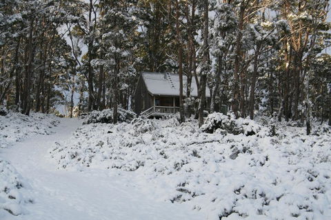 Cradle Mountain Love Shack - Accommodation in Bendigo 7