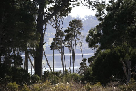 Riverwalk B&B - Accommodation in Bendigo 20