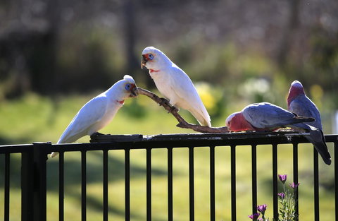 Riverwalk B&B - Accommodation in Bendigo 28