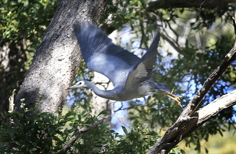 Riverwalk B&B - Accommodation in Bendigo 15