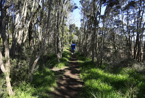 Riverwalk B&B - Accommodation in Bendigo 31