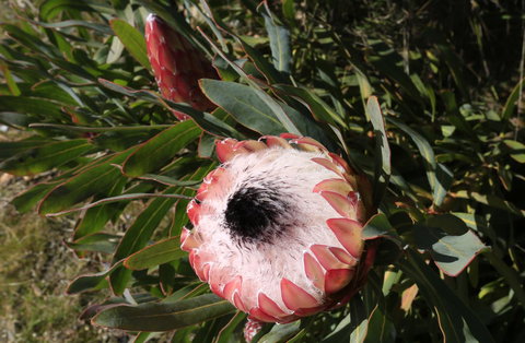 Riverwalk B&B - Accommodation in Bendigo 38