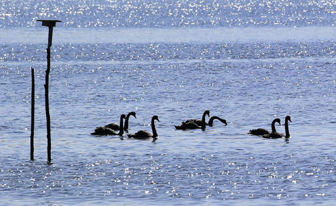 Riverwalk B&B - Accommodation in Bendigo 25