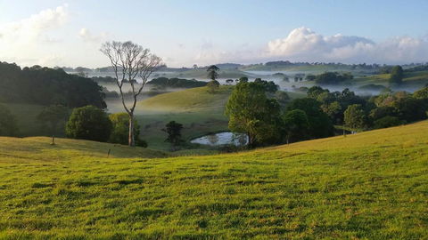 Newyan @ Maleny - Accommodation in Bendigo 3