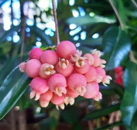 Paradise Travellers Rest - Accommodation in Bendigo