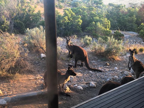 Pelican Lagoon Cabin - Accommodation in Bendigo 2