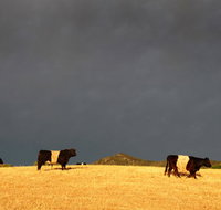 Peppertree Hill - Accommodation in Bendigo