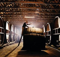 Pieter van Gent Winery  Vineyard - Accommodation in Bendigo