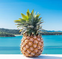 Pineapple House Whitsundays - Accommodation in Bendigo