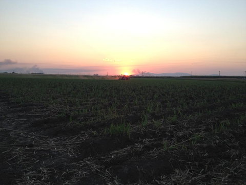 Plantation Park Motor Inn - Accommodation in Bendigo 3