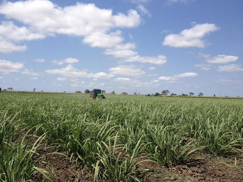 Plantation Park Motor Inn - Accommodation in Bendigo 2