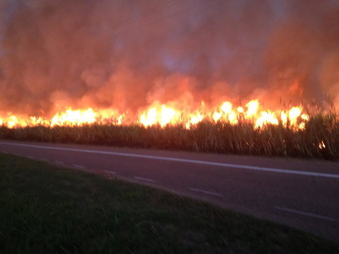 Plantation Park Motor Inn - Accommodation in Bendigo 1