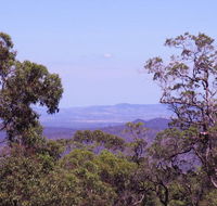 Ravensbourne Escape - Cedar Lodge - Accommodation in Bendigo