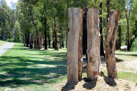 Saladin Lodge - Accommodation in Bendigo 2