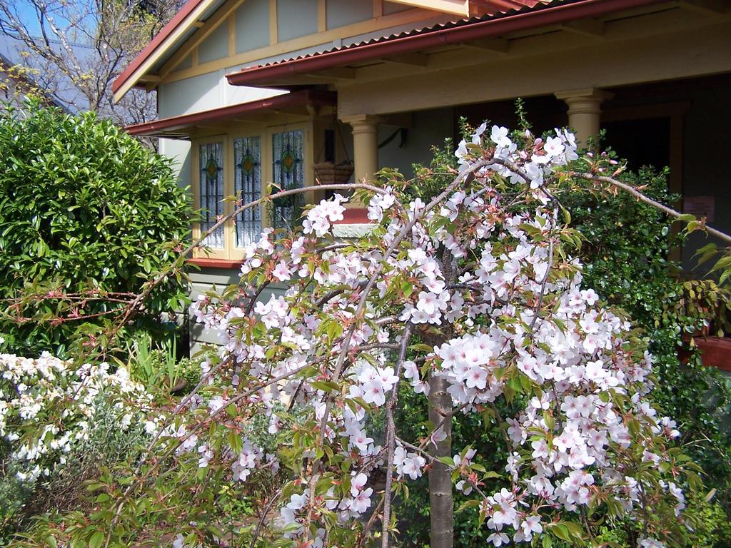 Katoomba NSW Accommodation in Bendigo