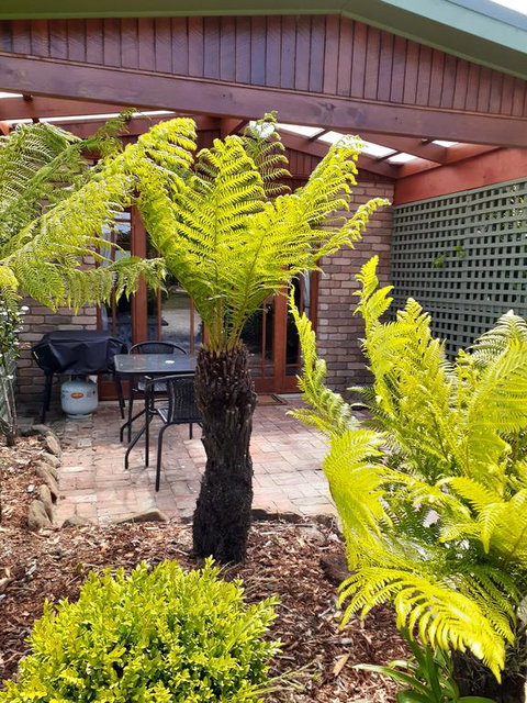 Sleepy Hollow Hideout (Hidout 2) - Accommodation in Bendigo 1