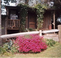 Snowy Mountain Holidays - Accommodation in Bendigo