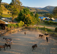 Spring Spur - Accommodation in Bendigo