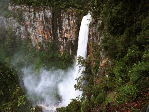 Springbrook Lyrebird Retreat - Accommodation in Bendigo 2