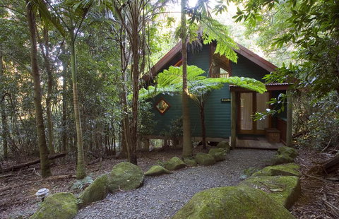 Springbrook Lyrebird Retreat - Accommodation in Bendigo 1