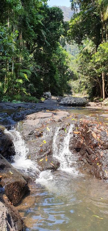 Springbrook25 Upper Apartment - Accommodation in Bendigo 3