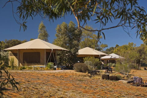 Squeakywindmill Boutique Tent B&B - Accommodation in Bendigo 0