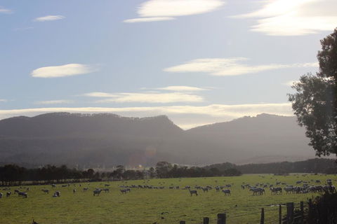 St Marys Hotel And Bistro - Accommodation in Bendigo 3