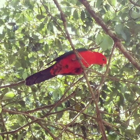 Sunshine Valley Cottages - Accommodation in Bendigo 3