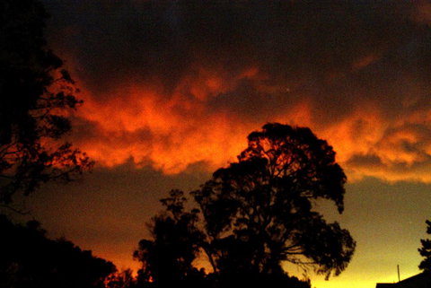 Taits Place Vineyard B & B - Accommodation in Bendigo 0