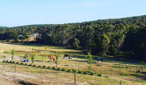 Lockleigh Park - Accommodation in Bendigo 19