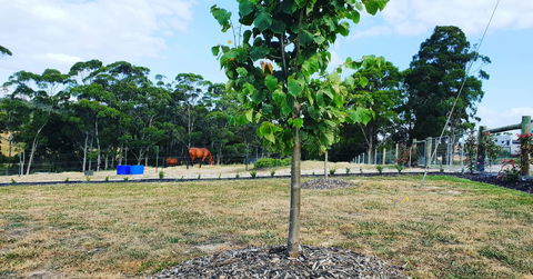 Lockleigh Park - Accommodation in Bendigo 5