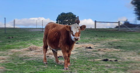 Lockleigh Park - Accommodation in Bendigo 18