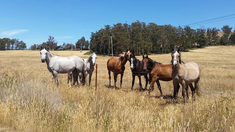 Lockleigh Park - Accommodation in Bendigo 28