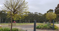 Book Lebrina Accommodation Vacations Accommodation in Bendigo Accommodation in Bendigo