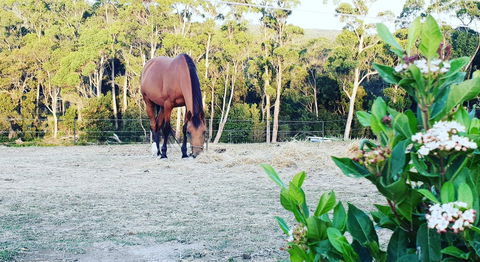 Lockleigh Park - Accommodation in Bendigo 20