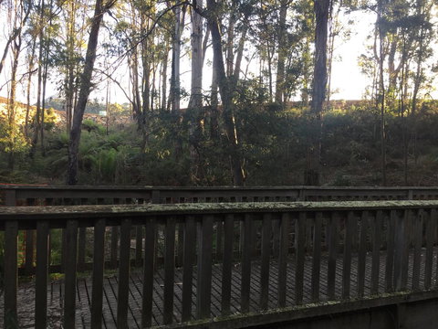 Harlea - Accommodation in Bendigo 13