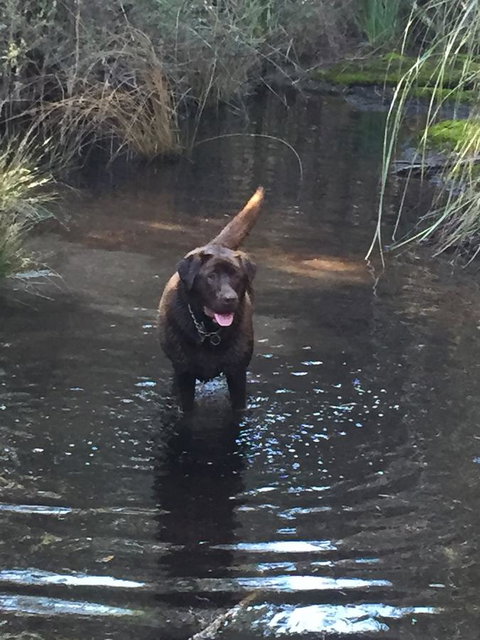 Harlea - Accommodation in Bendigo 27