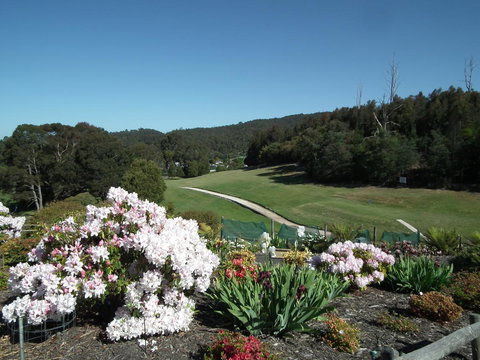 Harlea - Accommodation in Bendigo 16