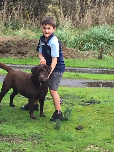 Harlea - Accommodation in Bendigo 24