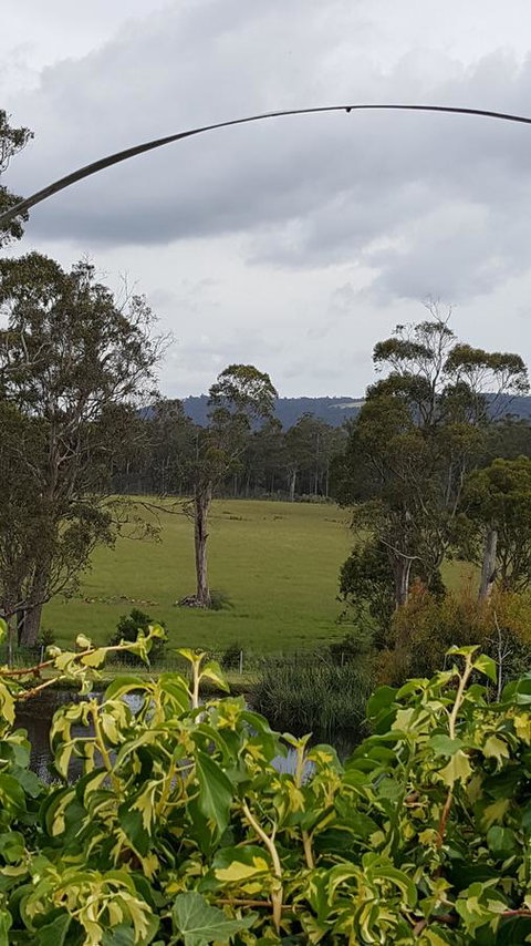 Hazelcreek Cottages - Accommodation in Bendigo 34