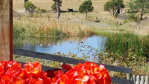 Hazelcreek Cottages - Accommodation in Bendigo 11