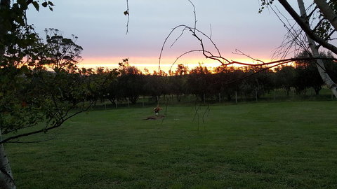 Hazelcreek Cottages - Accommodation in Bendigo 33