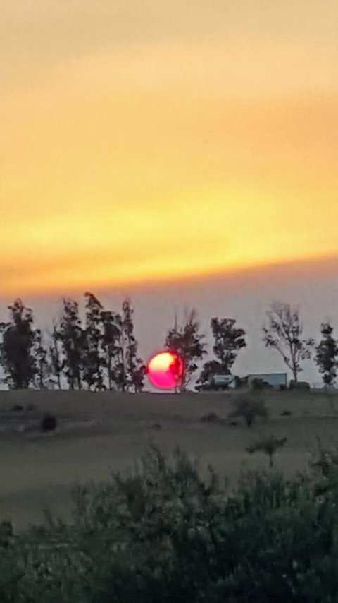 Hazelcreek Cottages - Accommodation in Bendigo 31