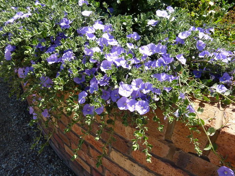 Hazelcreek Cottages - Accommodation in Bendigo 27